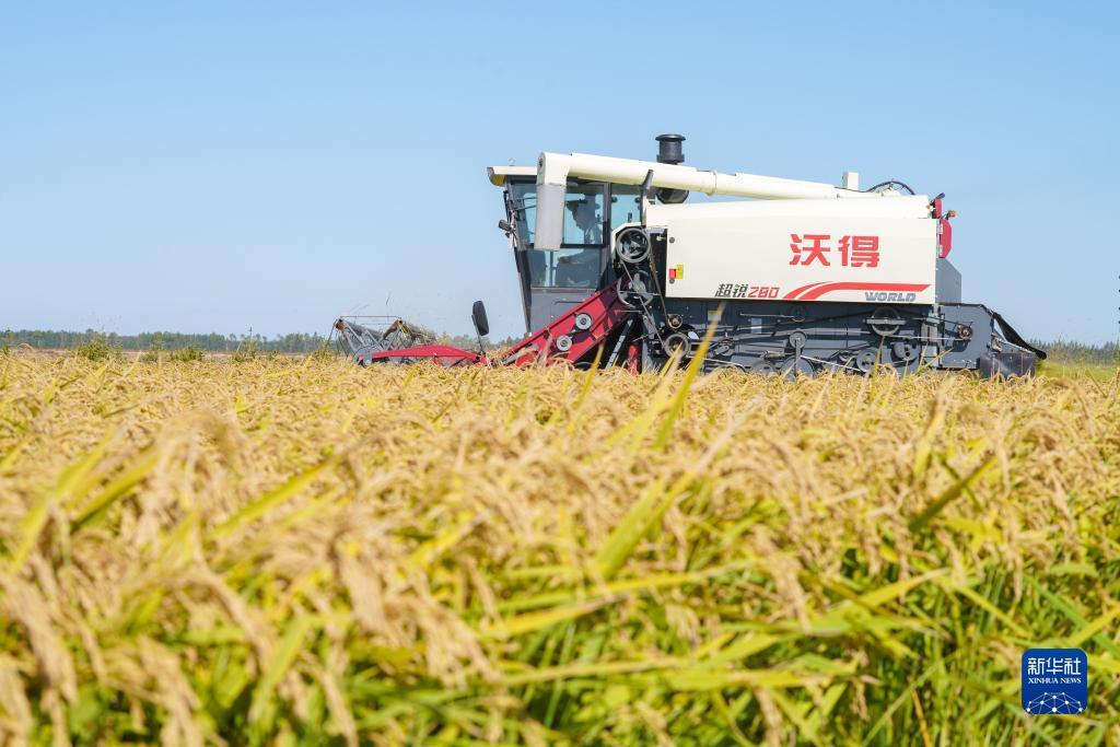 银河集团 澳门
